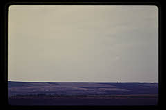 tanSF.B01-10_12()