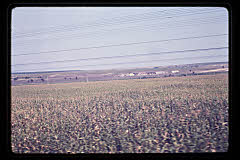 tanSF.B01-10_13()