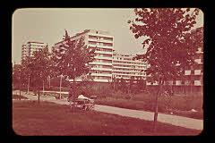 tanSF.B01-19_13()
