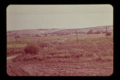 tanSF.B01-19_19()