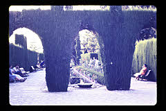 tanSF.B02-02_22()