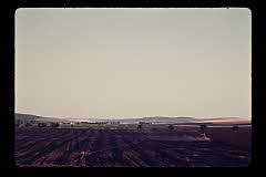 tanSF.B02-03_14()