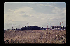 tanSF.B02-09_21()