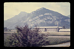 tanSF.B02-11_36()