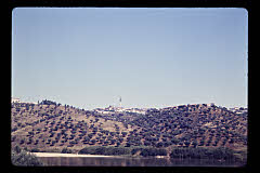 tanSF.B02-12_34()