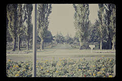 tanSF.B02-14_09()
