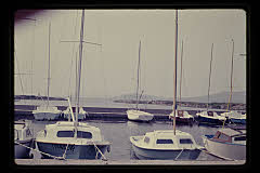 tanSF.B03-03_01()