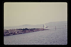 tanSF.B03-03_06()