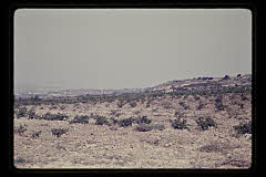 tanSF.B03-03_12()