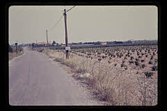 tanSF.B03-03_19()
