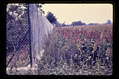 tanSF.B03-04_19()