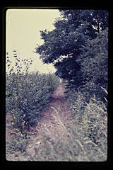 tanSF.B03-04_20()