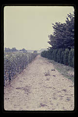tanSF.B03-04_25()