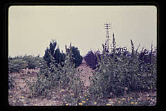 tanSF.B03-04_26()