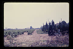 tanSF.B03-04_27()