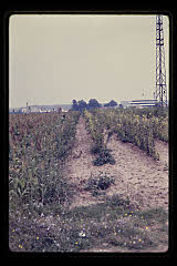 tanSF.B03-04_28()