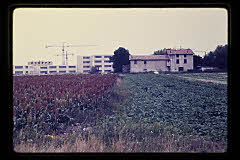 tanSF.B03-04_33()