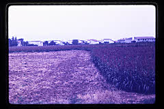 tanSF.B03-04_34()