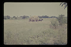 tanSF.B03-09_23()
