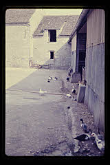 tanSF.B03-10_35()