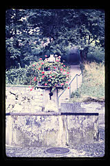tanSF.B03-11_23()