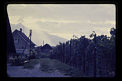 tanSF.B03-11_24()
