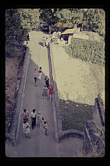 tanSF.B03-15_11()