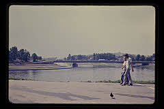 tanSF.B03-16_22()