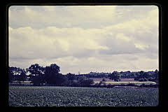 tanSF.B03-21_19()