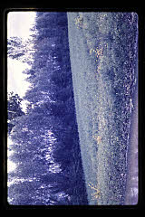 tanSF.B03-22_09()