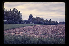 tanSF.B03-22_11()
