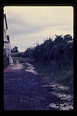tanSF.B03-22_21()