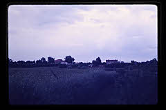 tanSF.B03-23_08()