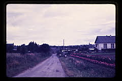 tanSF.B03-24_03()