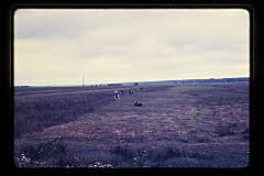 tanSF.B03-24_32()