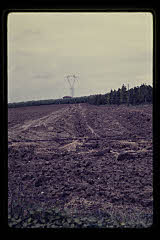 tanSF.B03-26_18()