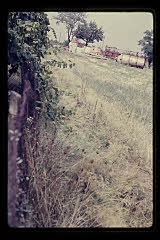 tanSF.B03-27_19()