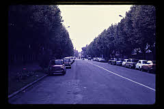 tanSF.B03-27_25()