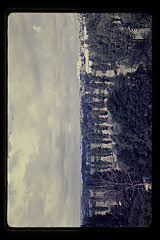 tanSF.B03-28_10()