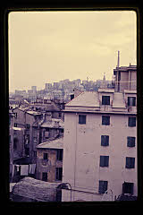 tanSF.B03-29_08()