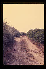 tanSF.B03-29_28()