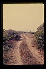 tanSF.B03-29_31()