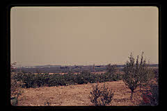 tanSF.B03-29_32()