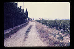 tanSF.B03-29_34()