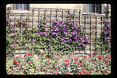 tanSF.B04-04_23()