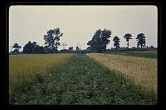 tanSF.B04-05_27()