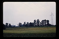 tanSF.B04-05_28()