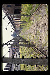 tanSF.B04-06_02()