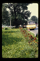tanSF.B04-06_10()