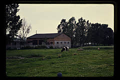 tanSF.B04-07_09()